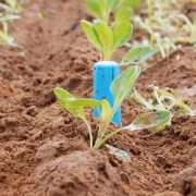 Agricultura digital