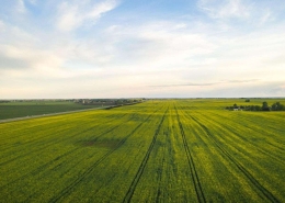 agricultura de regadio - regaber