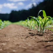 agricultura sostenible - regaber