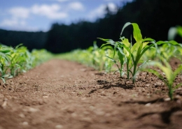 agricultura sostenible - regaber