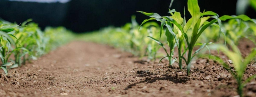 agricultura sostenible - regaber