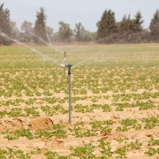 calidad del agua de riego - regaber
