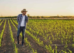rotación de cultivos - regaber